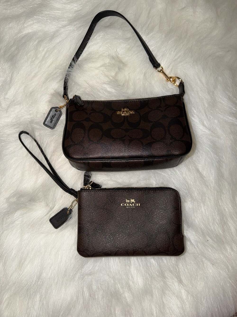 Coach Signature Brown Black Wristlet and Mini Bag Set